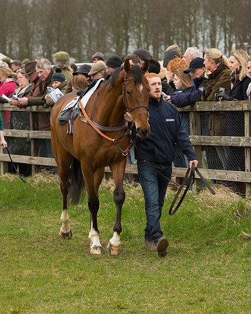 Race 2 - Open Maiden Race (14 of 106).jpg