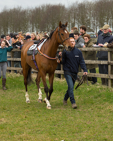 Race 2 - Open Maiden Race (15 of 106).jpg