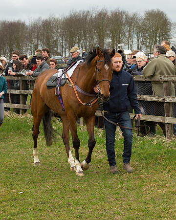 Race 2 - Open Maiden Race (16 of 106).jpg