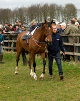 Race 2 - Open Maiden Race (17 of 106).jpg