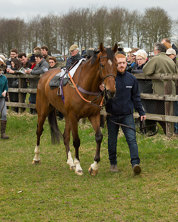 Race 2 - Open Maiden Race (17 of 106).jpg