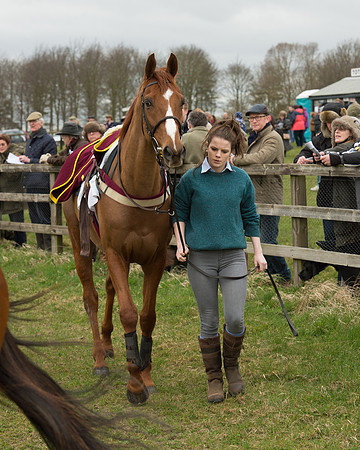 Race 2 - Open Maiden Race (18 of 106).jpg