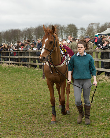 Race 2 - Open Maiden Race (19 of 106).jpg