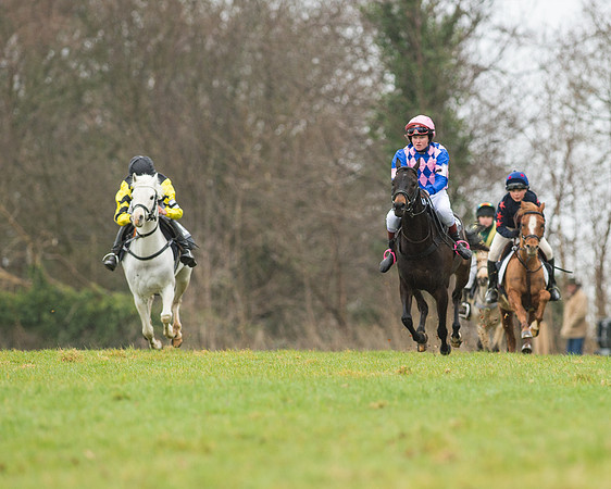Pony Race 1 (2 of 54).jpg