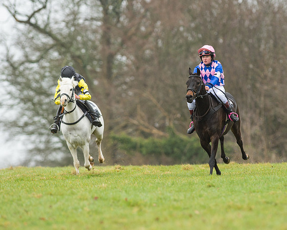 Pony Race 1 (4 of 54).jpg