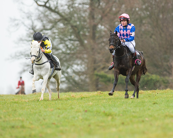 Pony Race 1 (7 of 54).jpg