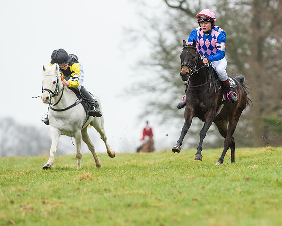 Pony Race 1 (9 of 54).jpg