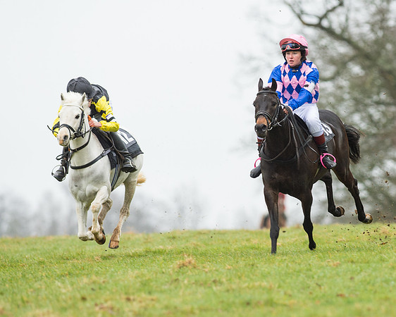 Pony Race 1 (11 of 54).jpg