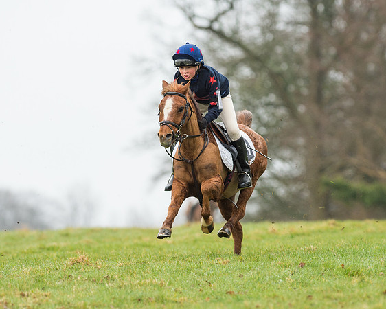 Pony Race 1 (12 of 54).jpg