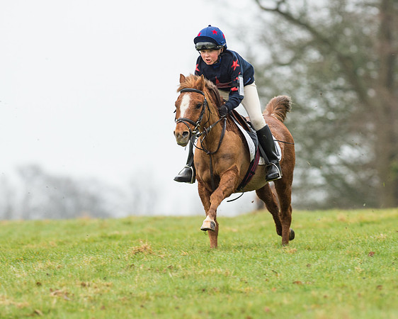 Pony Race 1 (13 of 54).jpg