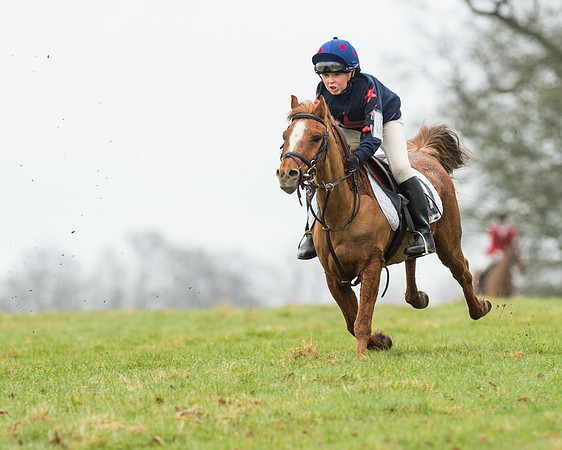 Pony Race 1 (14 of 54).jpg