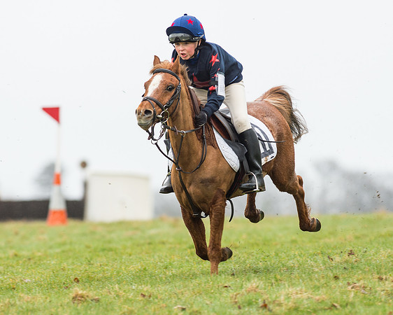 Pony Race 1 (17 of 54).jpg