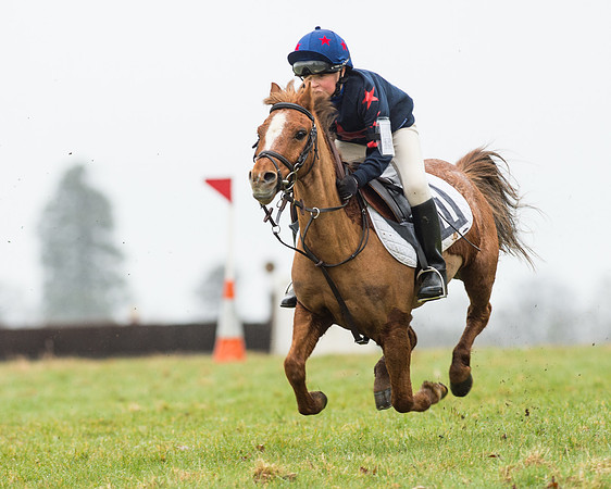 Pony Race 1 (18 of 54).jpg