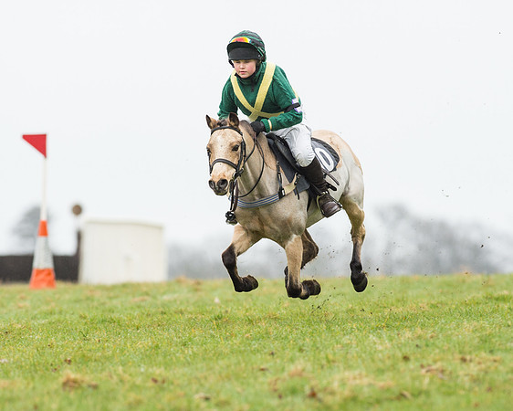 Pony Race 1 (19 of 54).jpg
