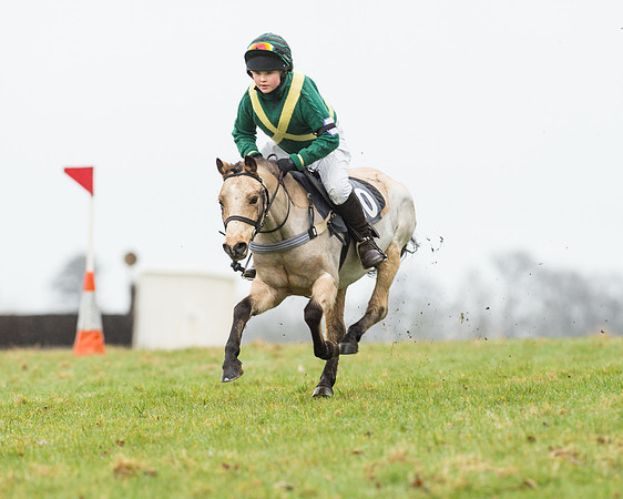 Pony Race 1 (20 of 54).jpg