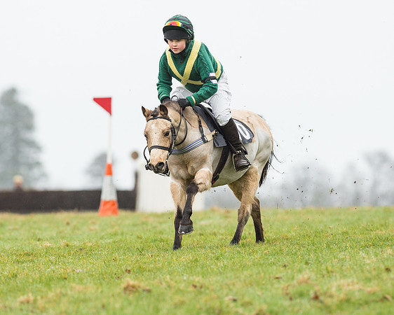 Pony Race 1 (21 of 54).jpg