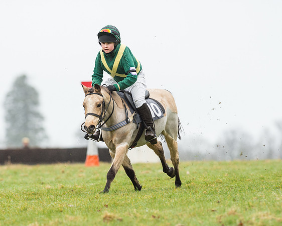 Pony Race 1 (22 of 54).jpg