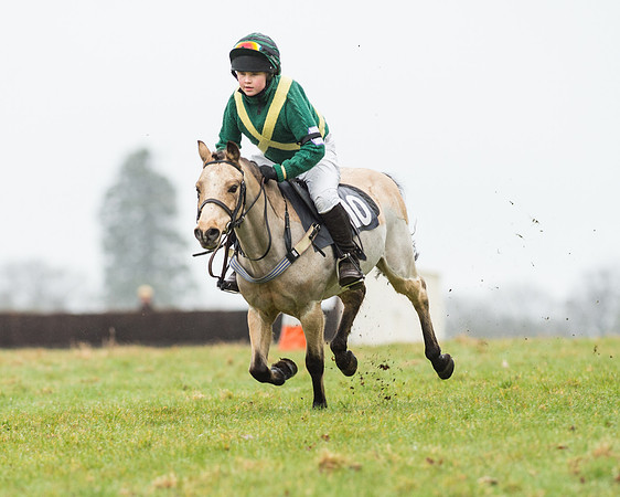 Pony Race 1 (23 of 54).jpg