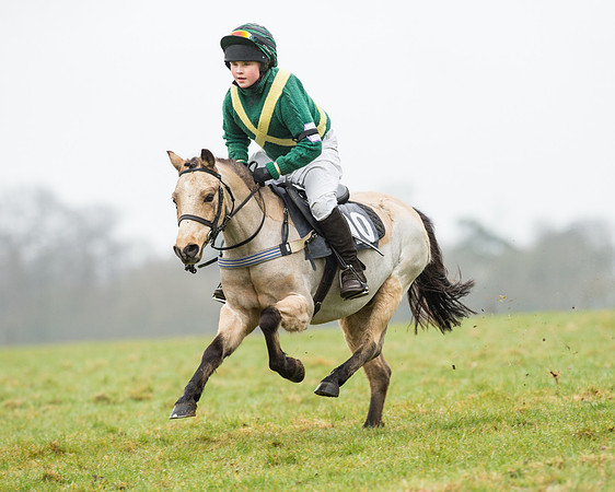 Pony Race 1 (25 of 54).jpg