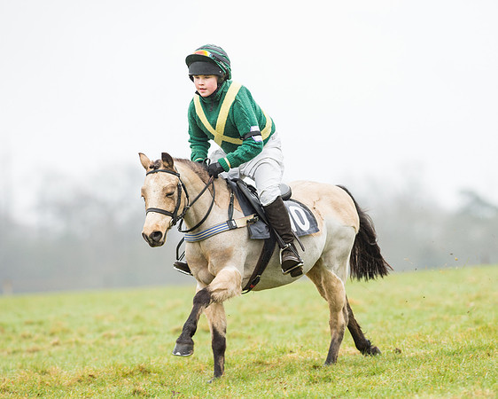Pony Race 1 (26 of 54).jpg