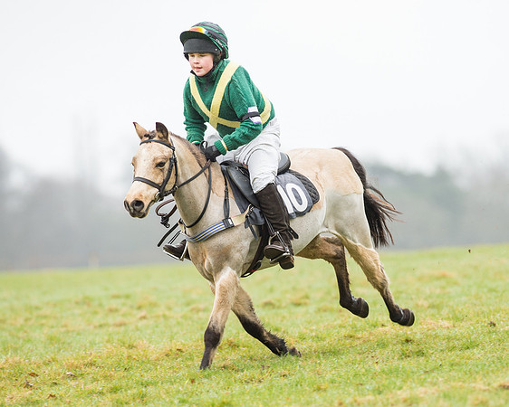 Pony Race 1 (27 of 54).jpg
