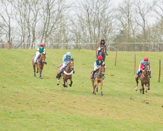 Pony Race 2 (1 of 26).jpg
