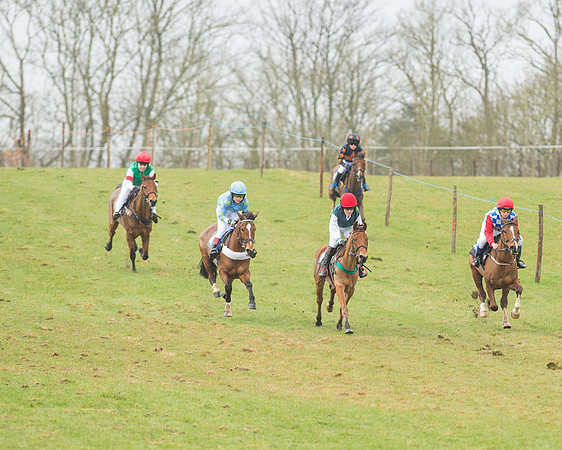 Pony Race 2 (2 of 26).jpg