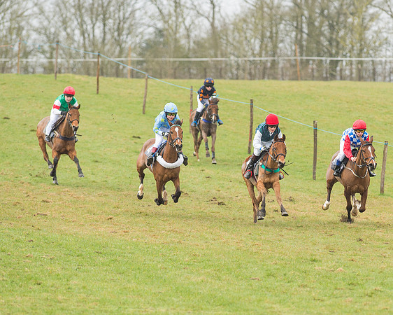 Pony Race 2 (3 of 26).jpg