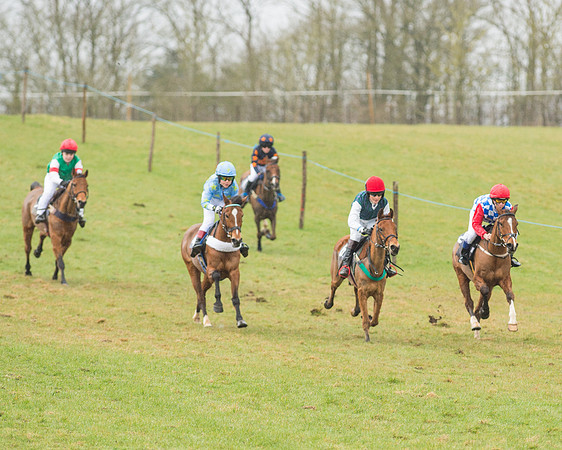 Pony Race 2 (5 of 26).jpg