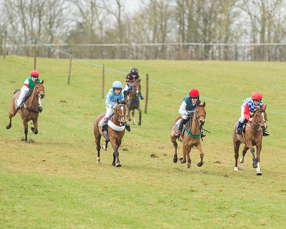 Pony Race 2 (6 of 26).jpg
