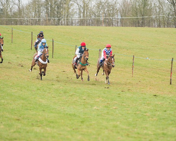 Pony Race 2 (8 of 26).jpg