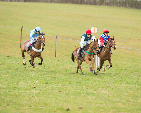 Pony Race 2 (9 of 26).jpg