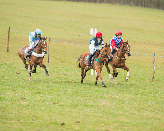 Pony Race 2 (10 of 26).jpg