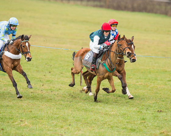 Pony Race 2 (11 of 26).jpg