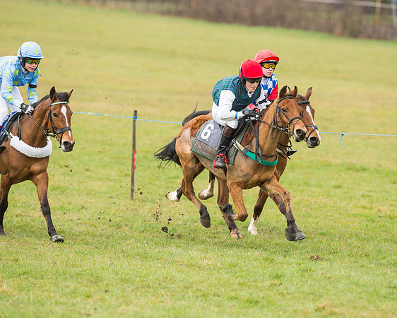 Pony Race 2 (12 of 26).jpg