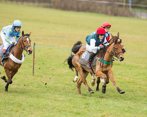 Pony Race 2 (13 of 26).jpg
