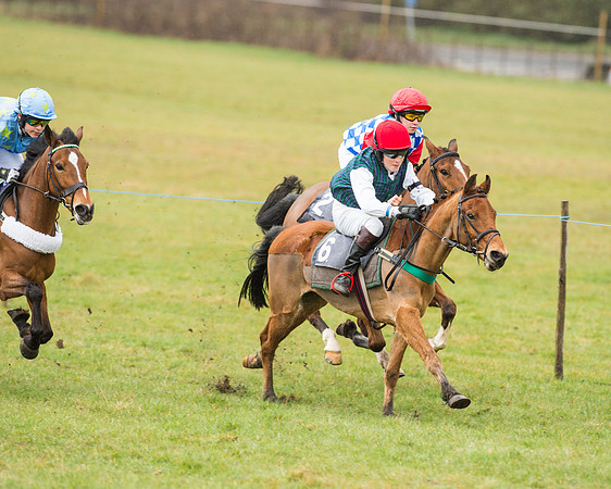 Pony Race 2 (14 of 26).jpg
