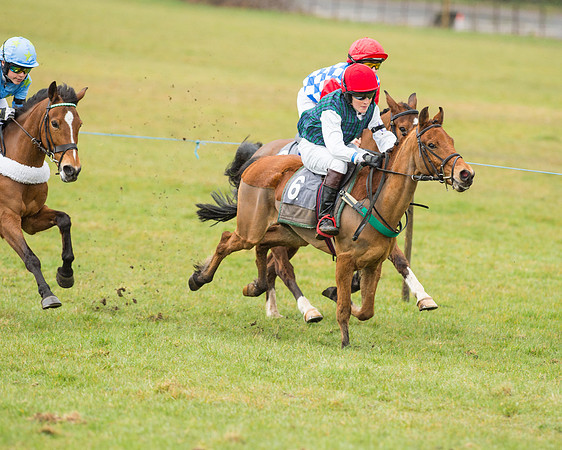 Pony Race 2 (15 of 26).jpg
