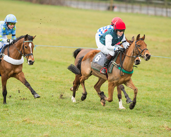 Pony Race 2 (16 of 26).jpg
