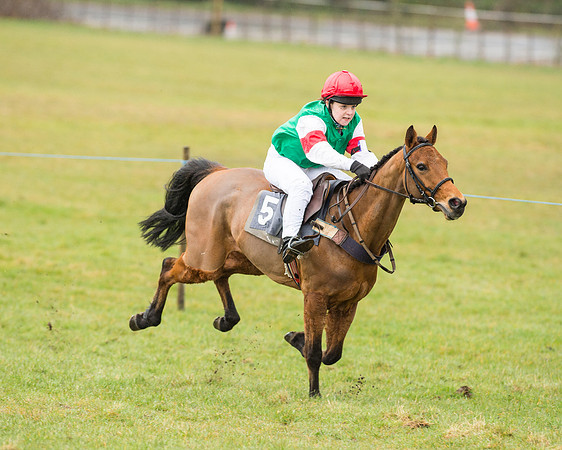 Pony Race 2 (18 of 26).jpg
