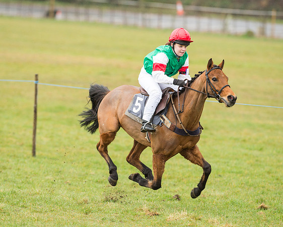 Pony Race 2 (19 of 26).jpg