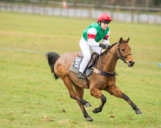 Pony Race 2 (20 of 26).jpg