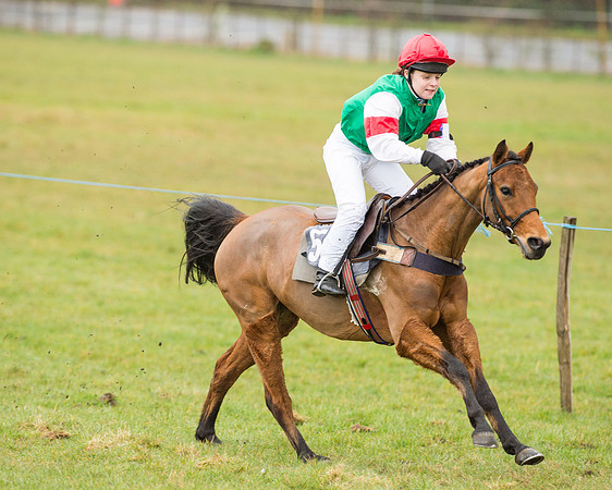 Pony Race 2 (21 of 26).jpg