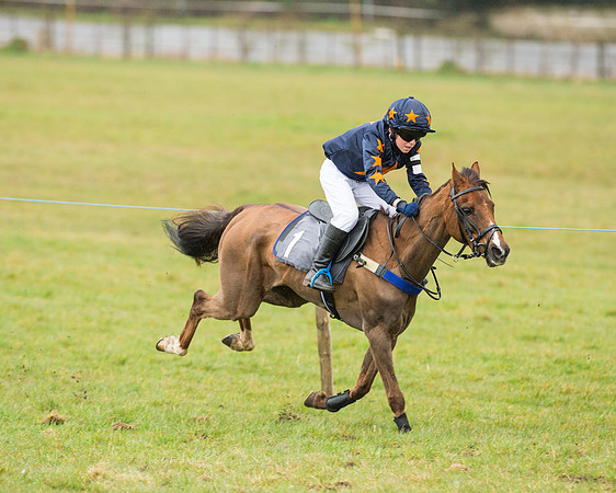 Pony Race 2 (22 of 26).jpg