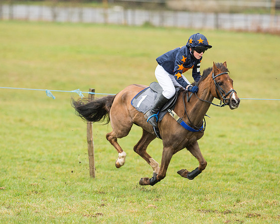 Pony Race 2 (23 of 26).jpg