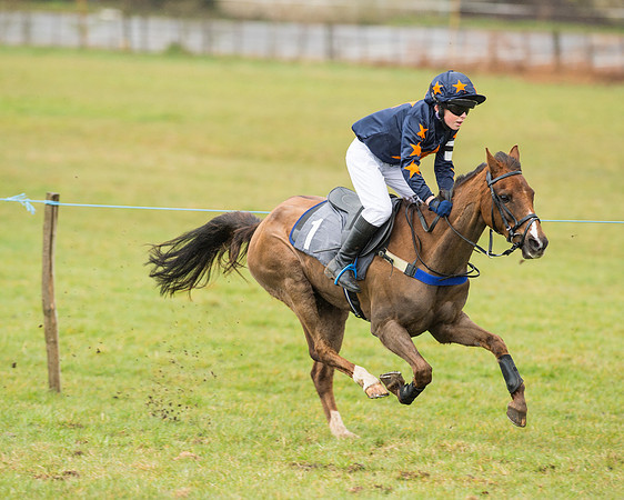Pony Race 2 (24 of 26).jpg