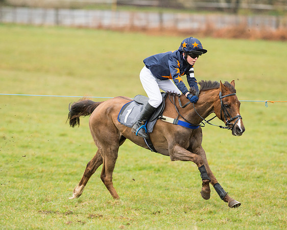 Pony Race 2 (25 of 26).jpg