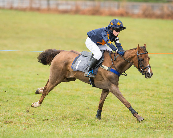 Pony Race 2 (26 of 26).jpg