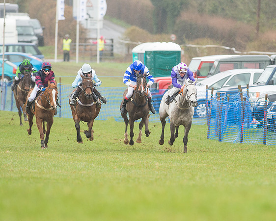 Pony Race 3 (8 of 40).jpg