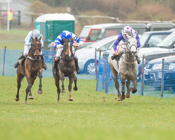 Pony Race 3 (12 of 40).jpg